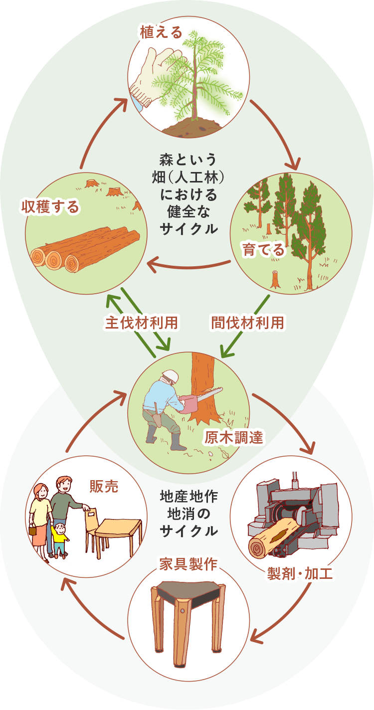 森という畑(人工林)における健全なサイクル