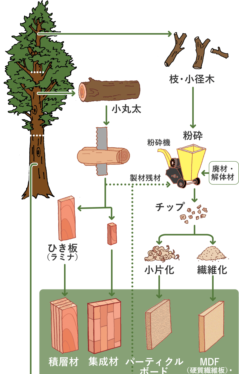 木が木材になるまでのプロセス