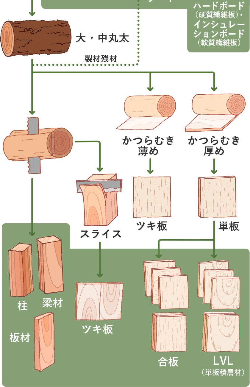 木が木材になるまでのプロセス2