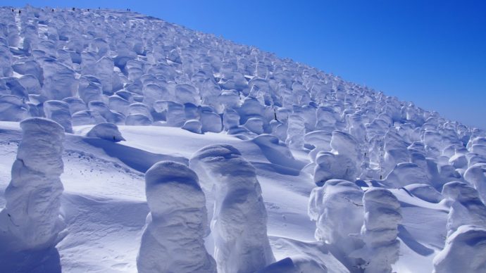 冬の風物詩「アイスモンスター」。年々減少!?　希少な自然現象、樹氷を見に行こう。