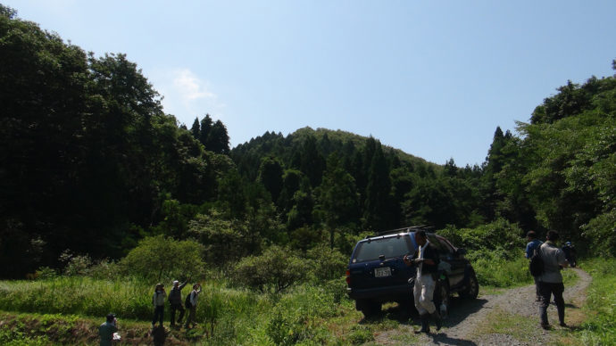 復興の森といきものたち